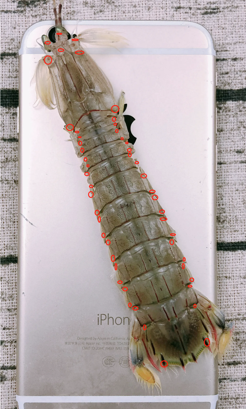 微信截图_20220908205708