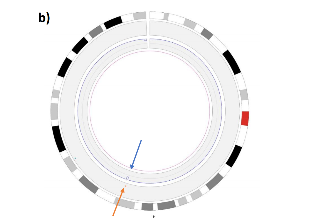 Screenshot from 2021-08-20 14-59-54