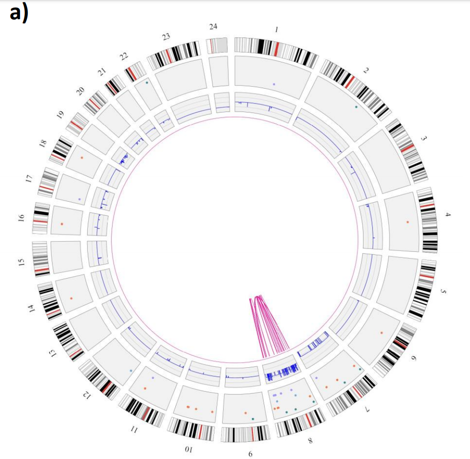 Screenshot from 2021-08-20 15-01-15