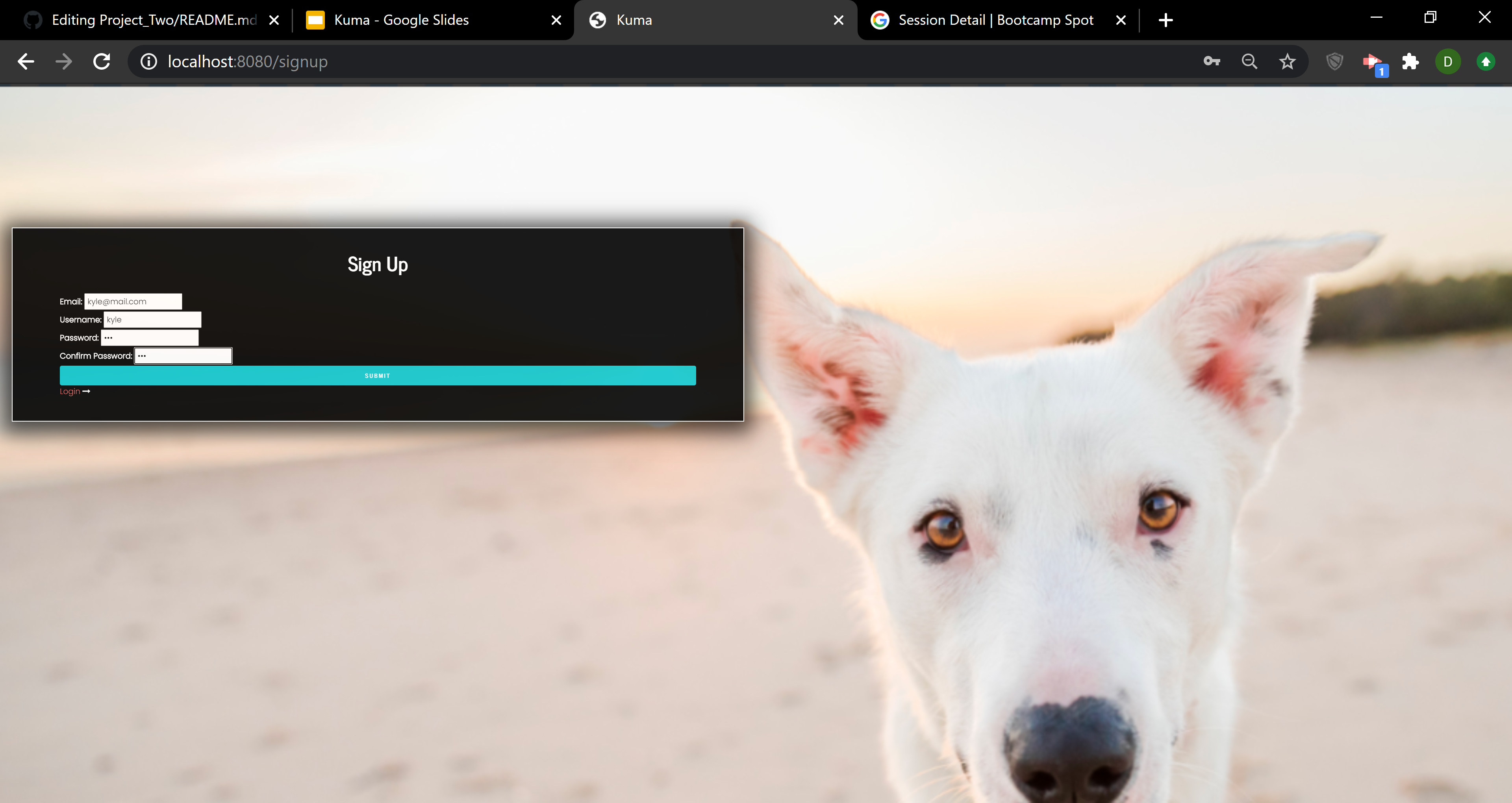 GitHub - Kuma-Project/Project_Two · GitHub