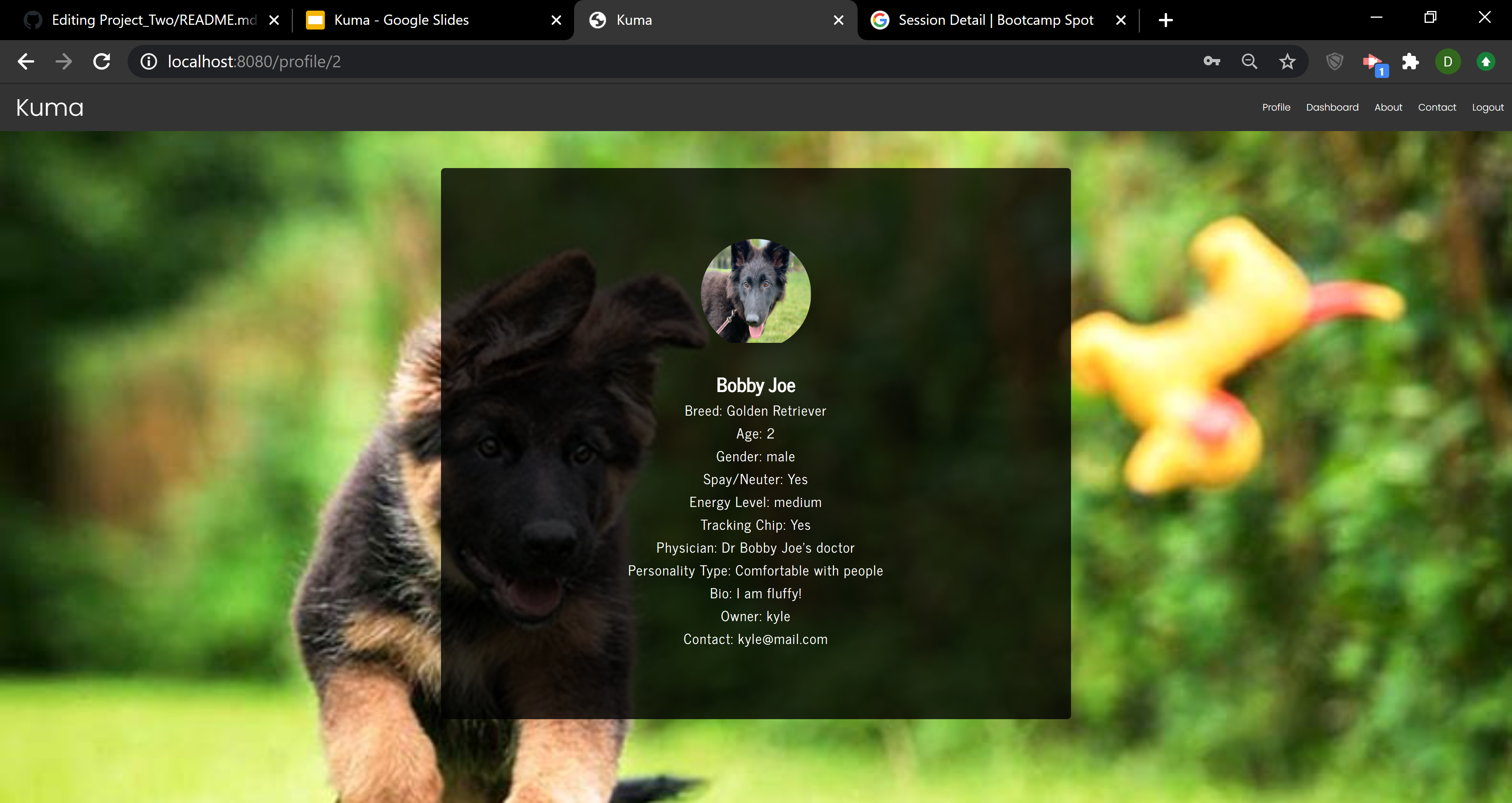 GitHub - Kuma-Project/Project_Two · GitHub