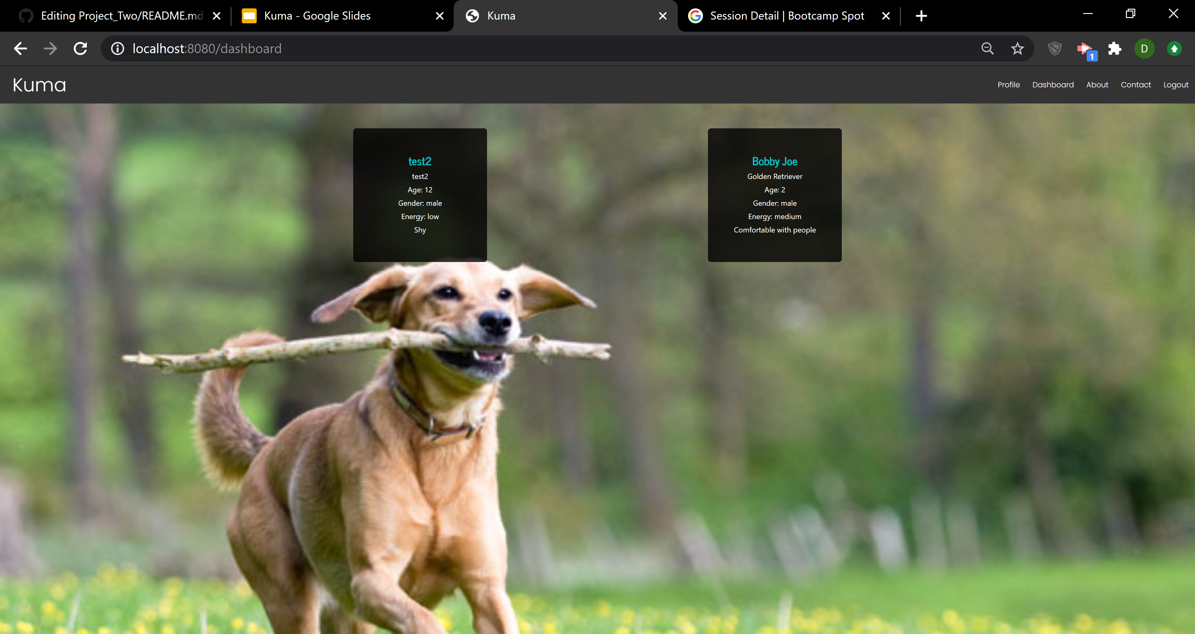 GitHub - Kuma-Project/Project_Two · GitHub
