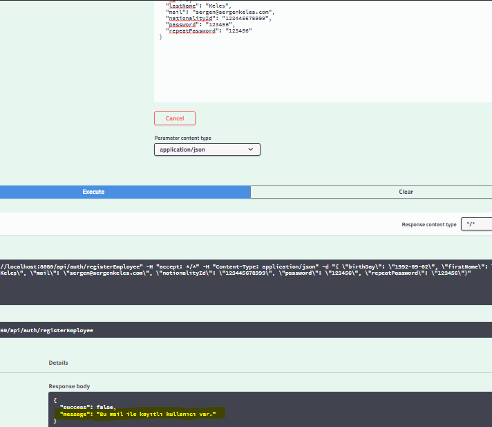 GitHub - sergennkeles/hrms-project