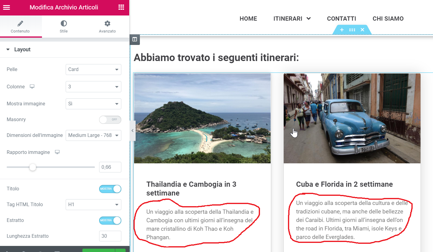 Excerpt in Archive Post widget shows pictures captions instead post
