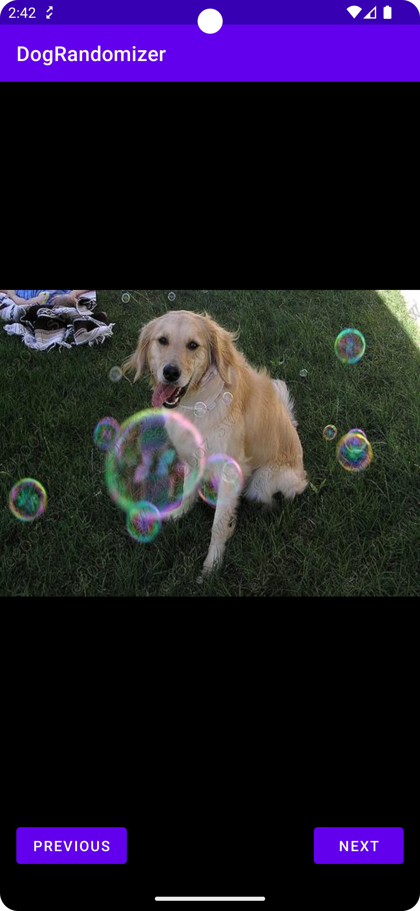GitHub - Mehul-Bisht/DogRandomizer: An app for displaying random Dog ...