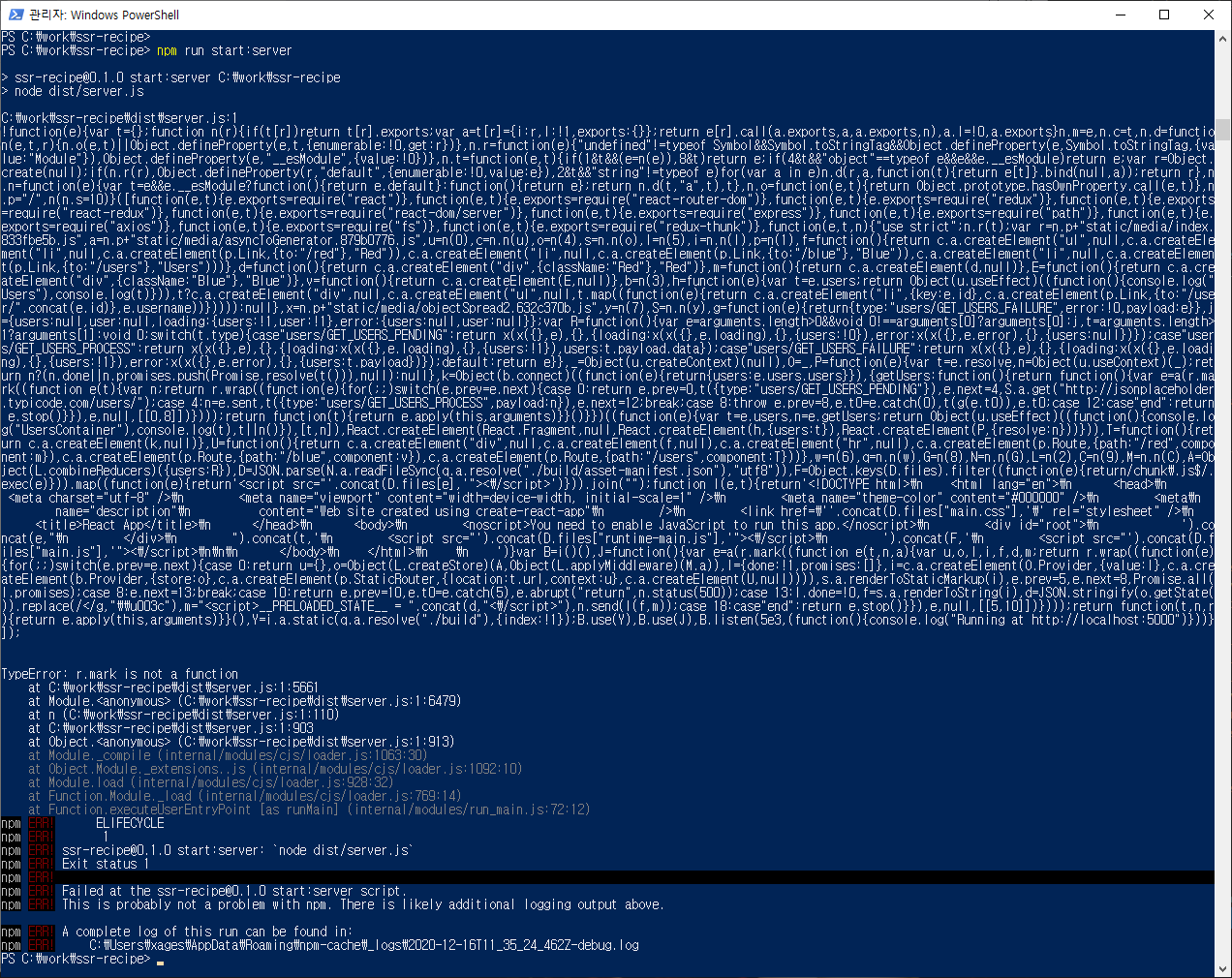 npm-run-start-server