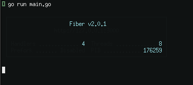🤗Freeze after upgrade · Issue #807 · gofiber/fiber · GitHub