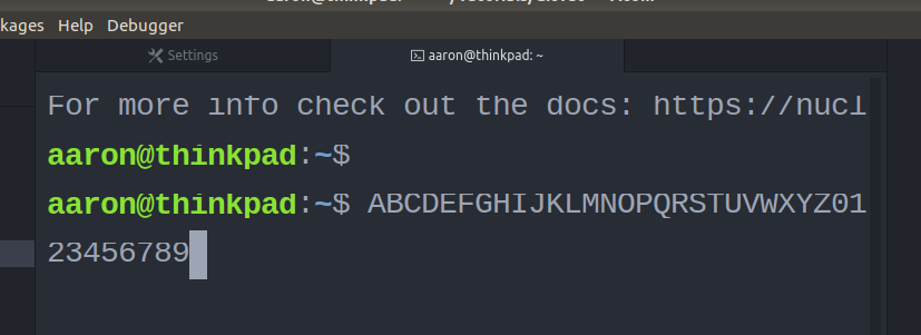 Top of Each Line of Text in Terminal is Cut Off · Issue #231 ...