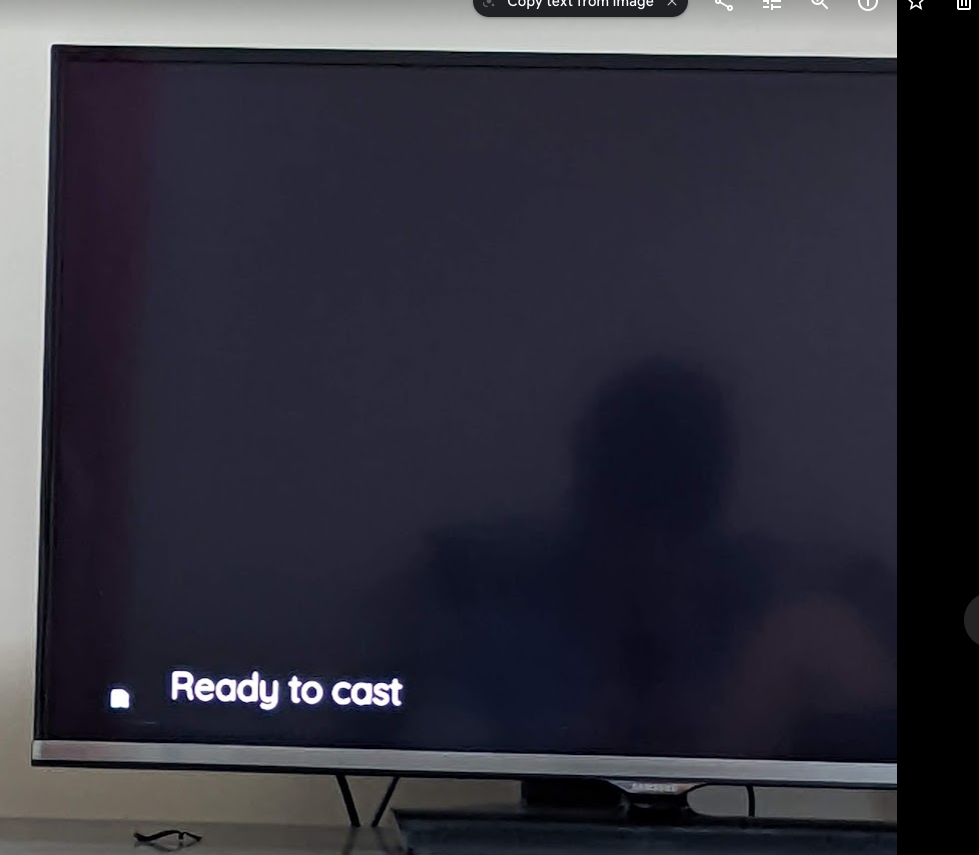 Blank screen trying to cast · Issue #654 · jellyfin/jellyfin-android ...