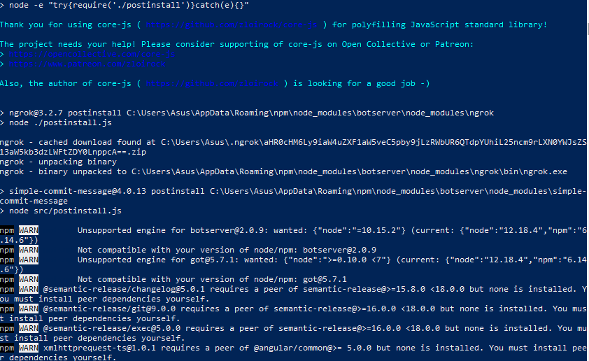 print instalation npm 
