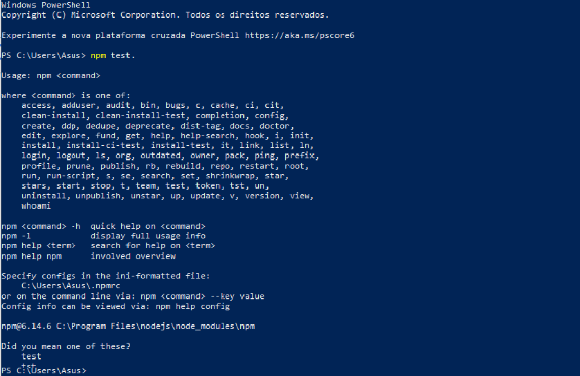 npm test 