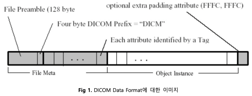 DICOM Data Format에 대한 이미지