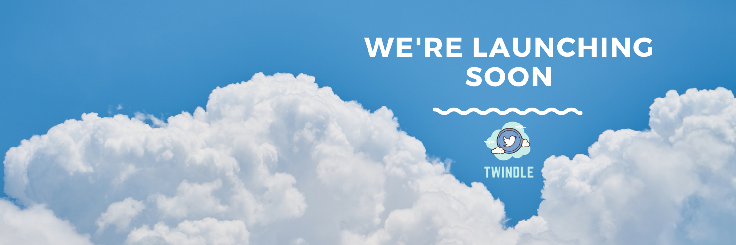 Website Launch Rocketship Twitter Header (1)