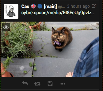 screen shot 2017-07-23 at 15 00 18