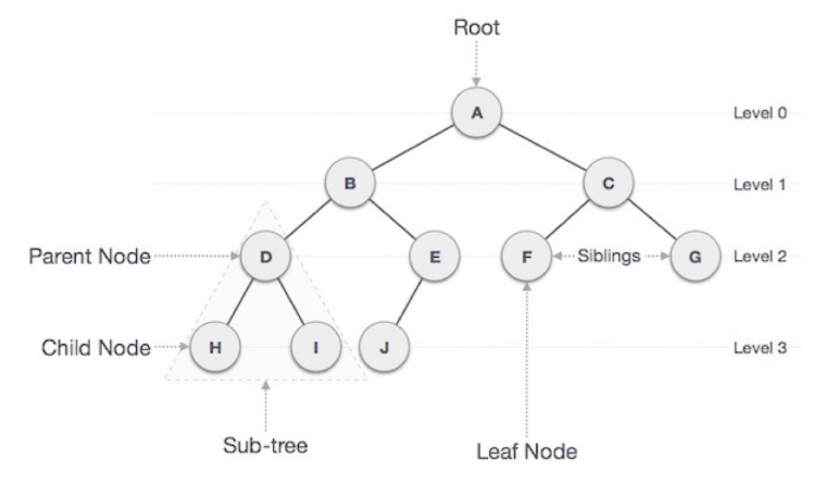 트리 이미지 상세