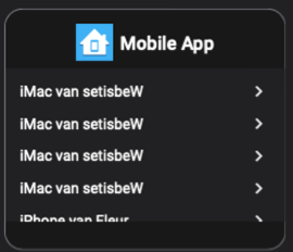 Schermafbeelding 2021-04-29 om 17 21 12