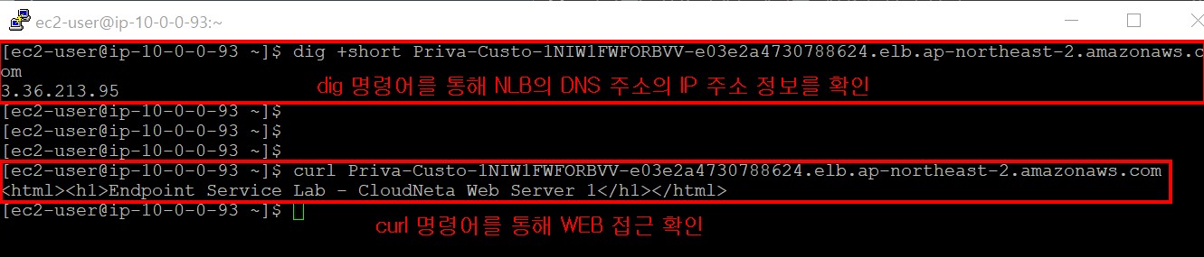 1-2 도메인 네임 아이피확인, 컬명령어로 웹통신 확인