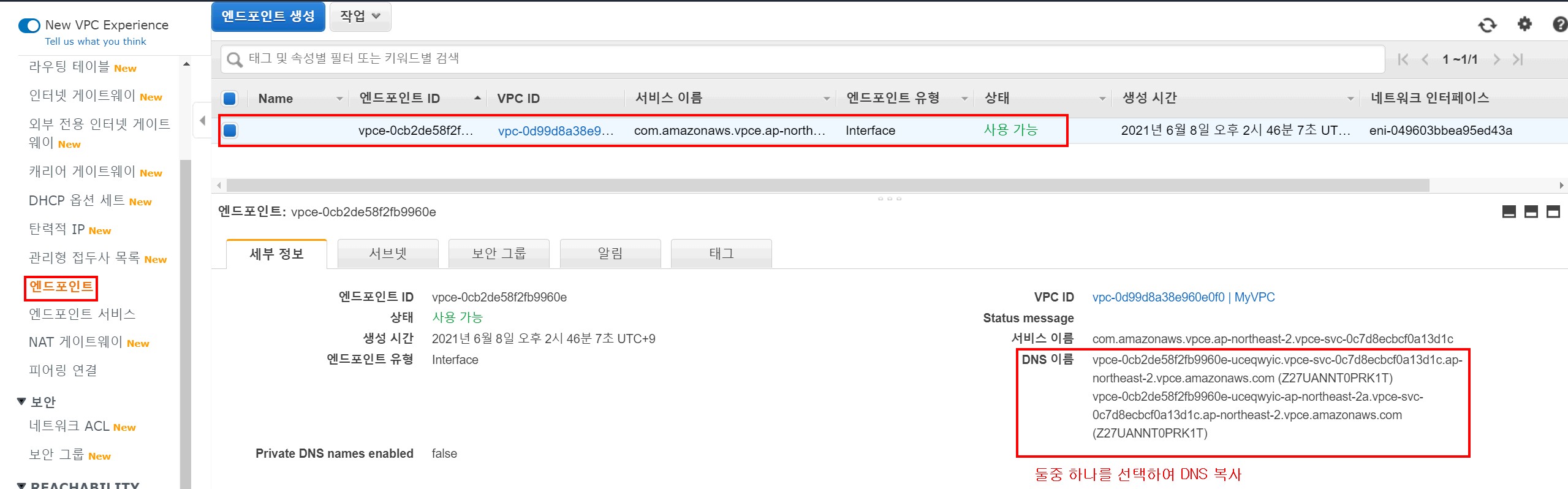 1-8 엔드포인트 도메인네임 주소 복사