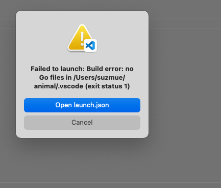 debug: improve error message when launch request fails due to build ...