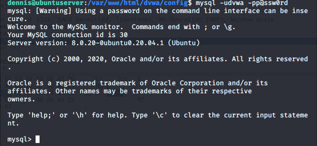 could not connect to the mysql service. please check the config file