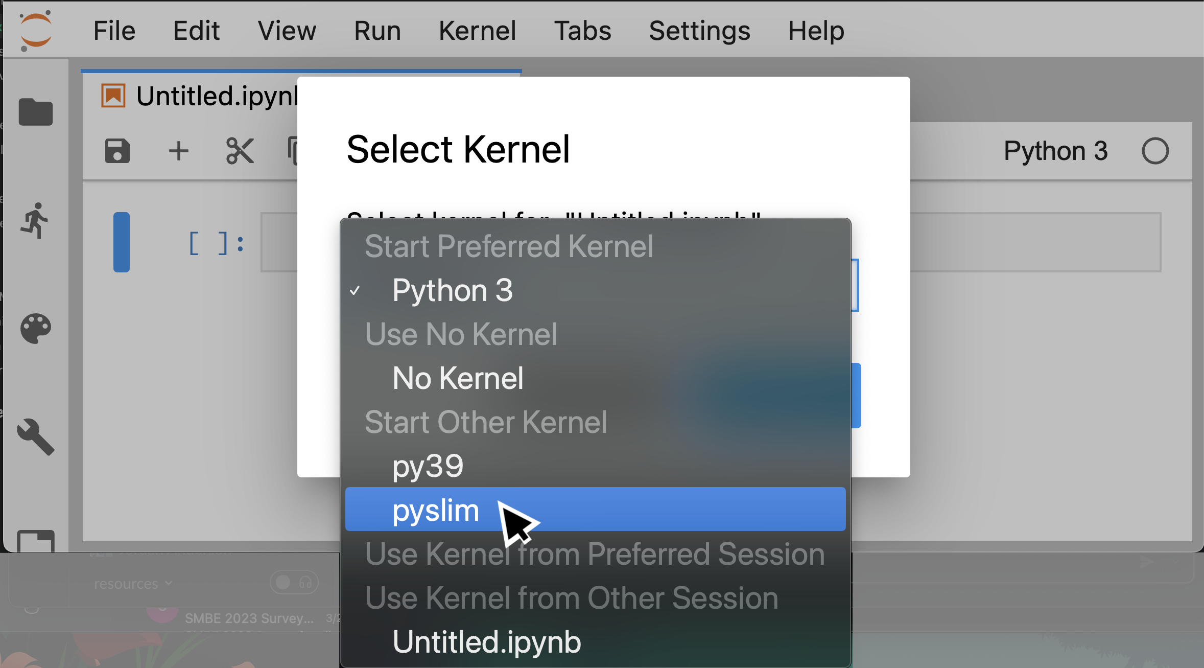 Dropdown kernel menu with custom kernels