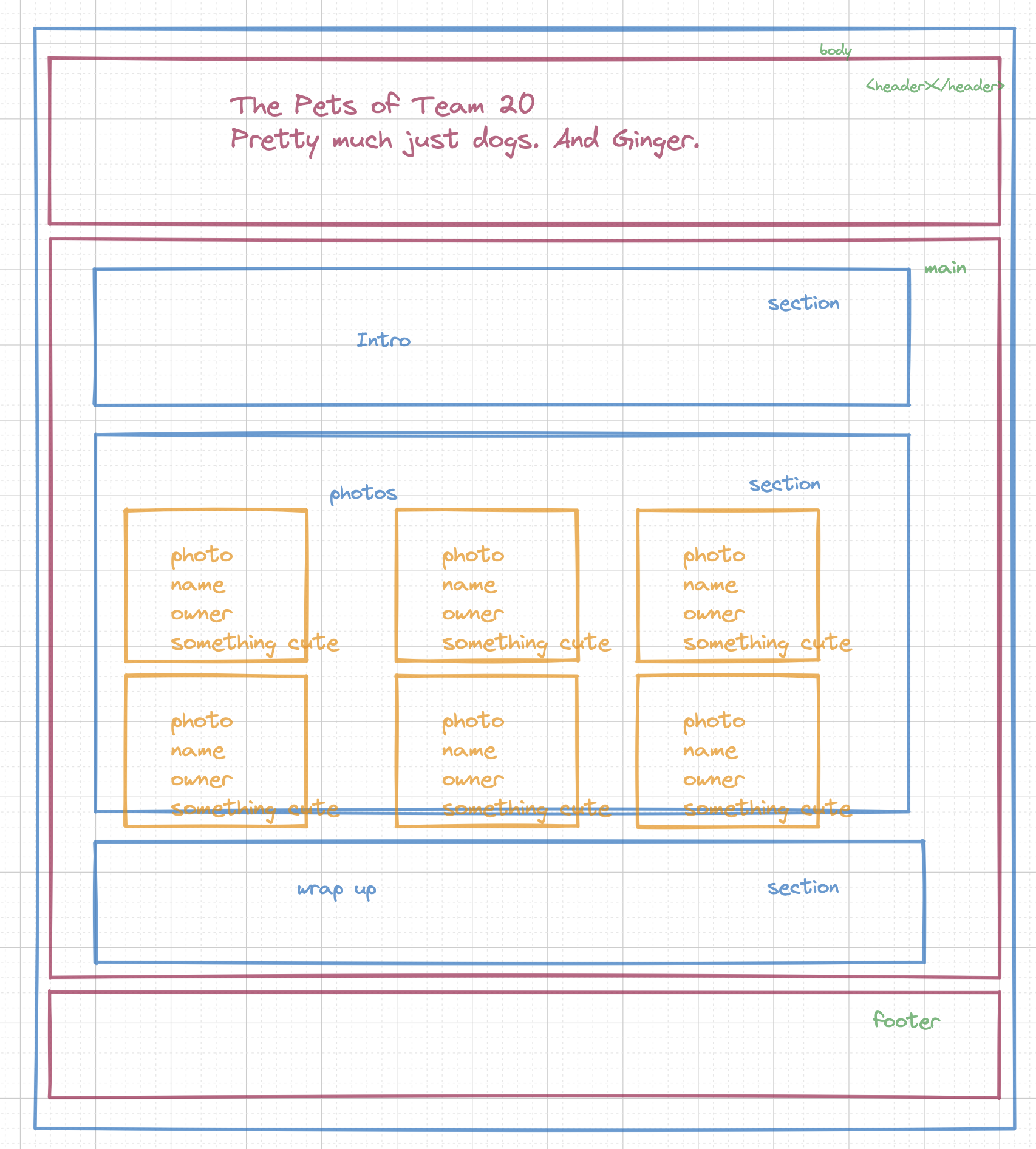 GitHub - Momentum-Team-20/css-pets-example