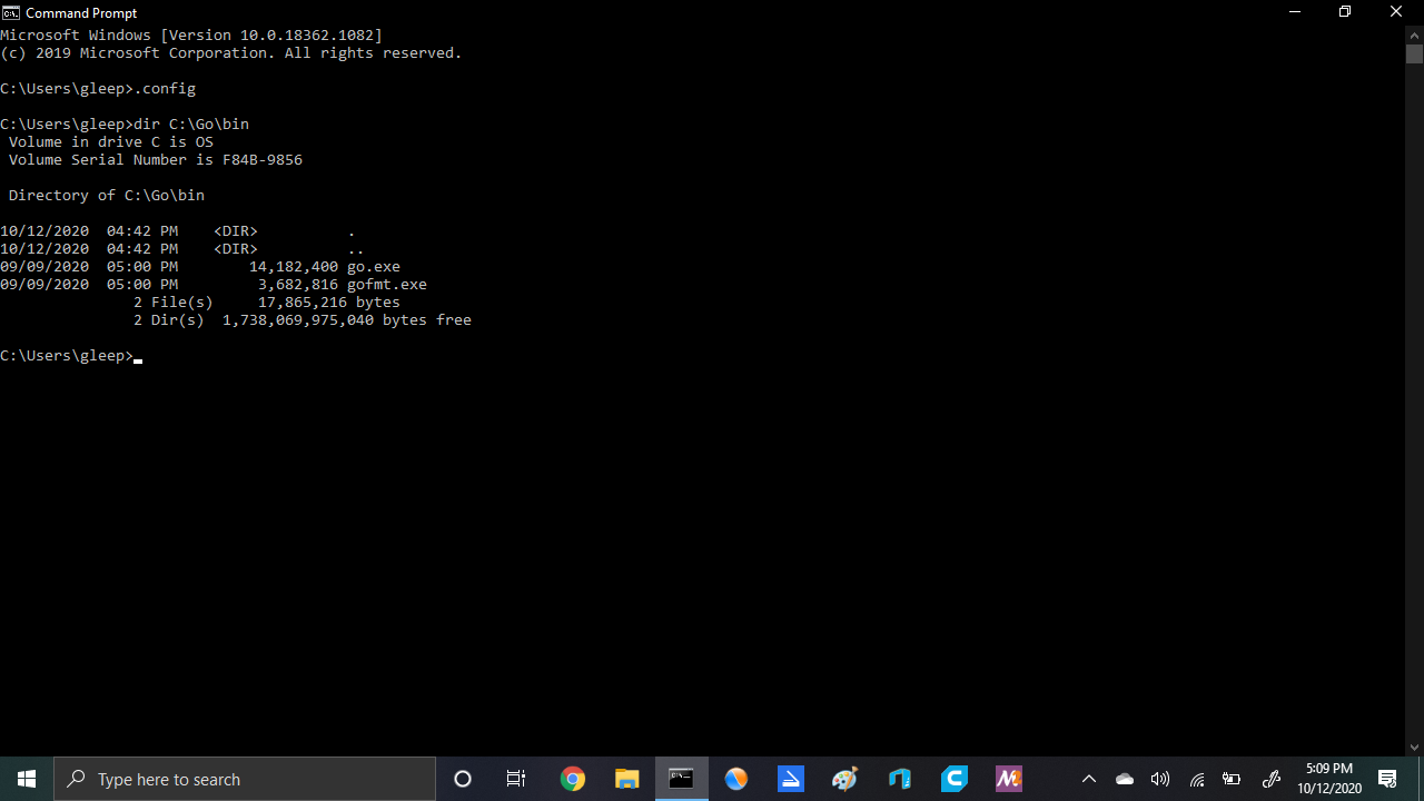 Failed to run go.exe: Error: spawn go.exe ENOENT, but the file does ...