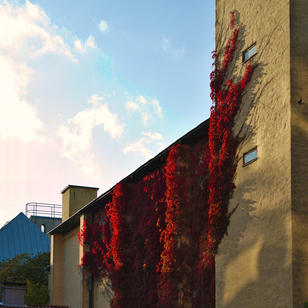 bad-highlight-recovery