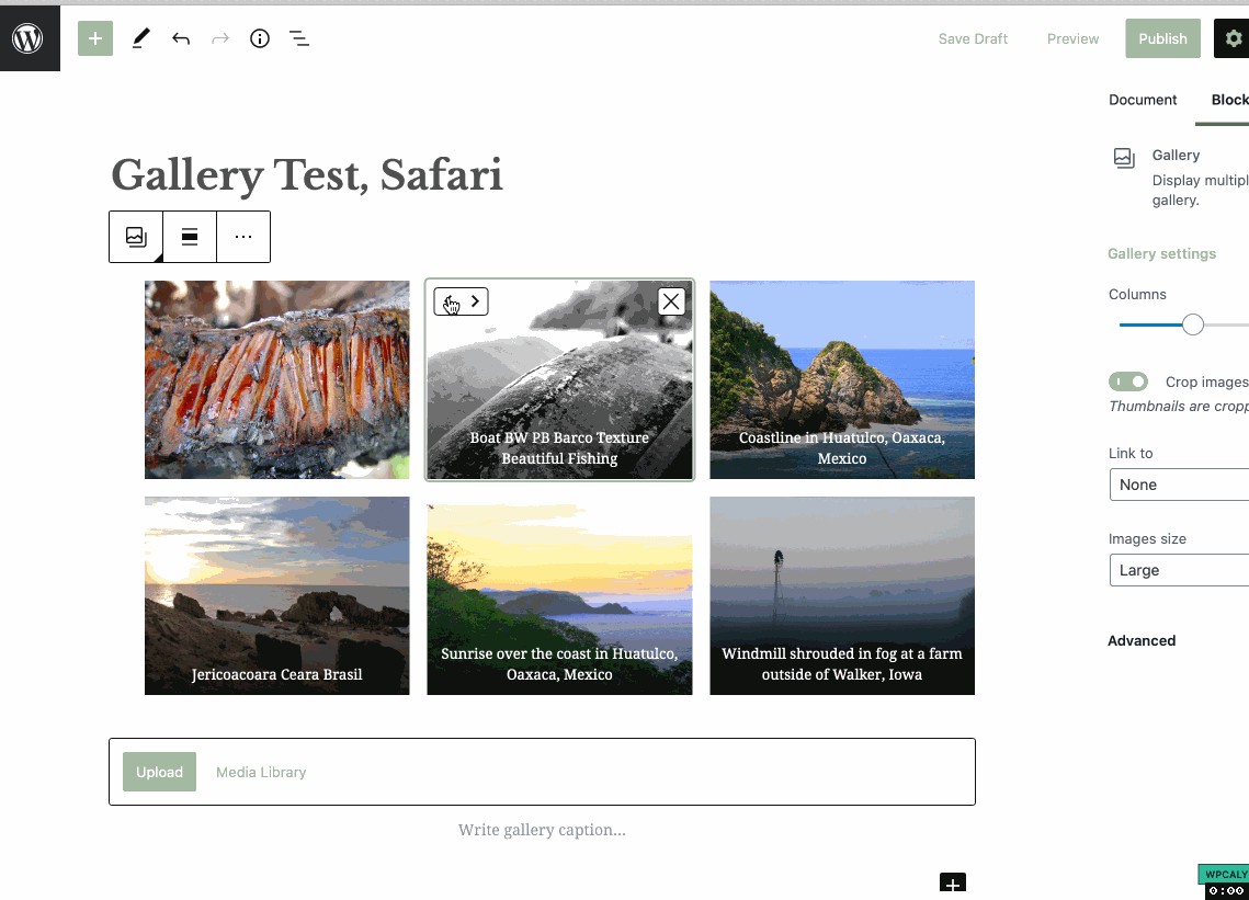 gallery-test