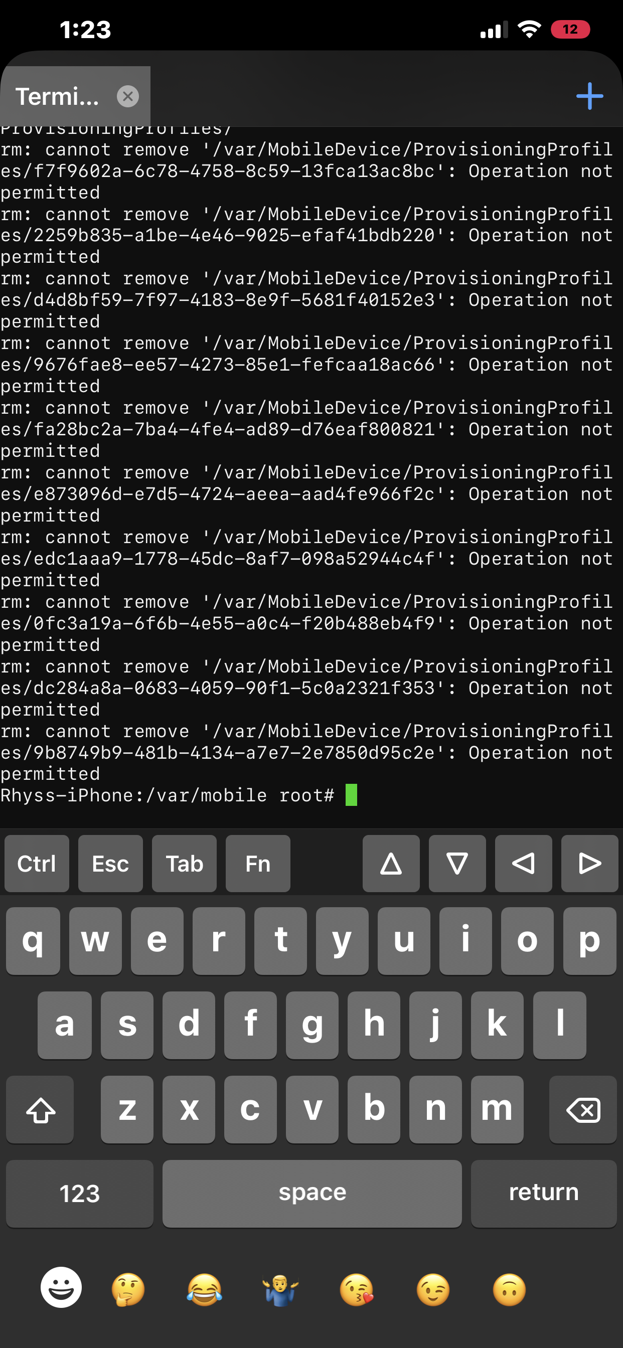 Altdaemon Issue · Issue 262 · altstoreio/AltStore · GitHub