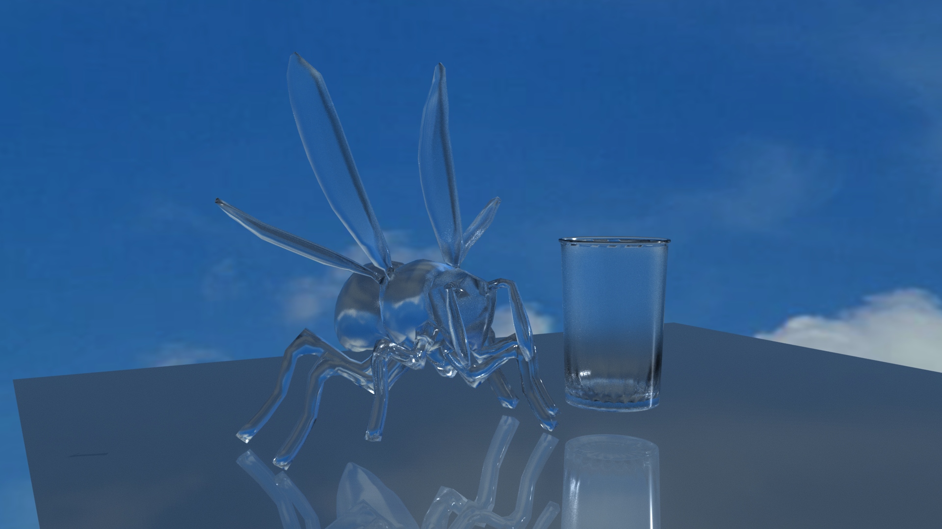 0612-tarsparent-fly