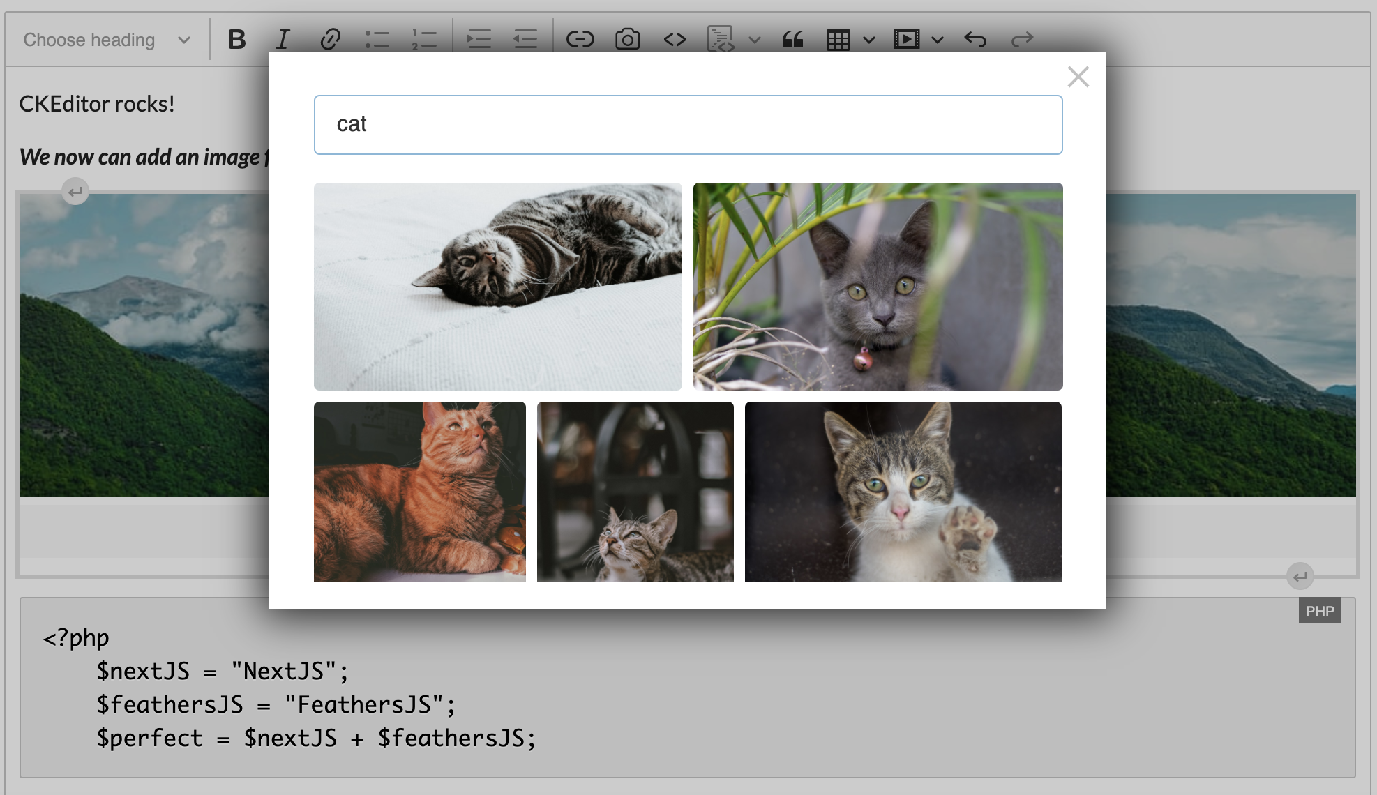 CKEditor 5 classic editor build screenshot - add an image from Unsplash 2