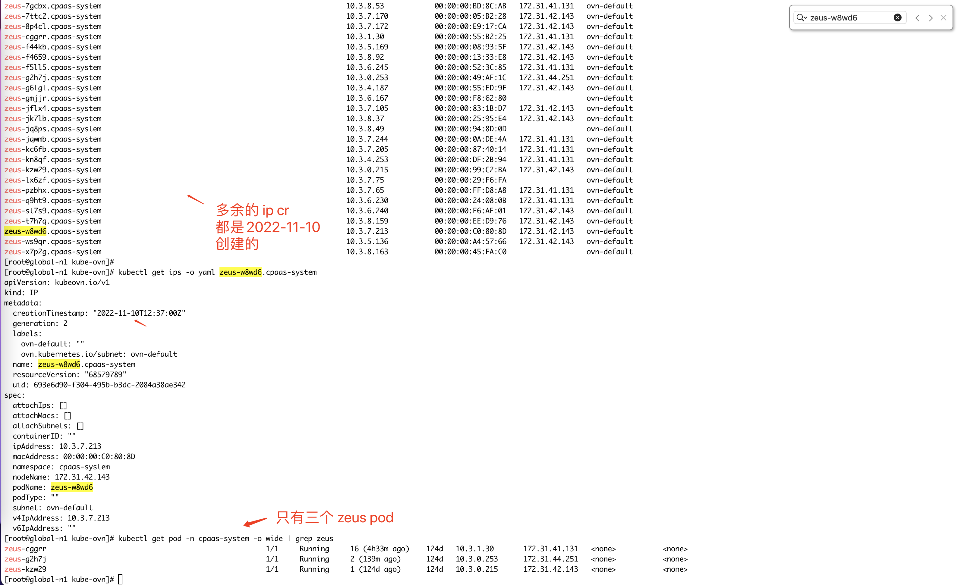 The ip cr does not be deleted with release-1.9 version image · Issue ...