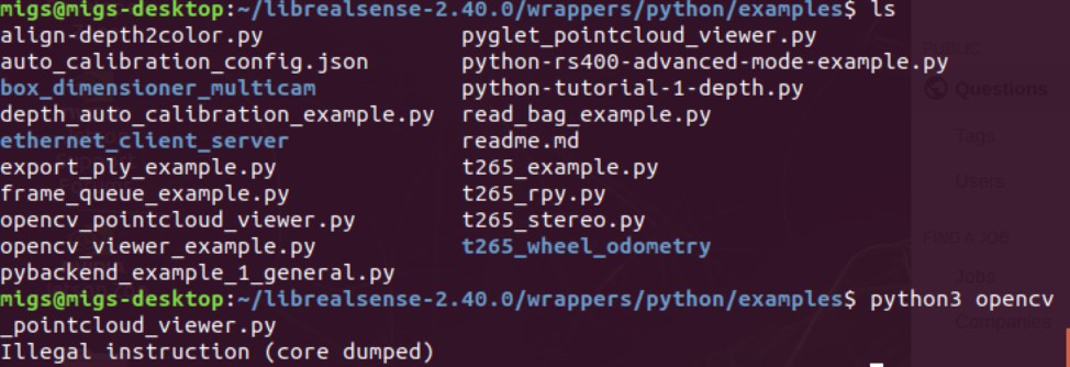 onnxruntime v1.6.0 on Jetson Nano - Illegal Instruction (core dumped ...