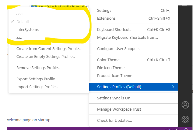 Settings Profiles quickpick improvements · Issue #154072 · microsoft ...