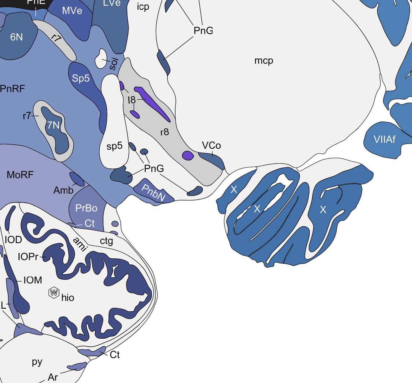 Screen Shot 2022-08-10 at 12 42 44 PM