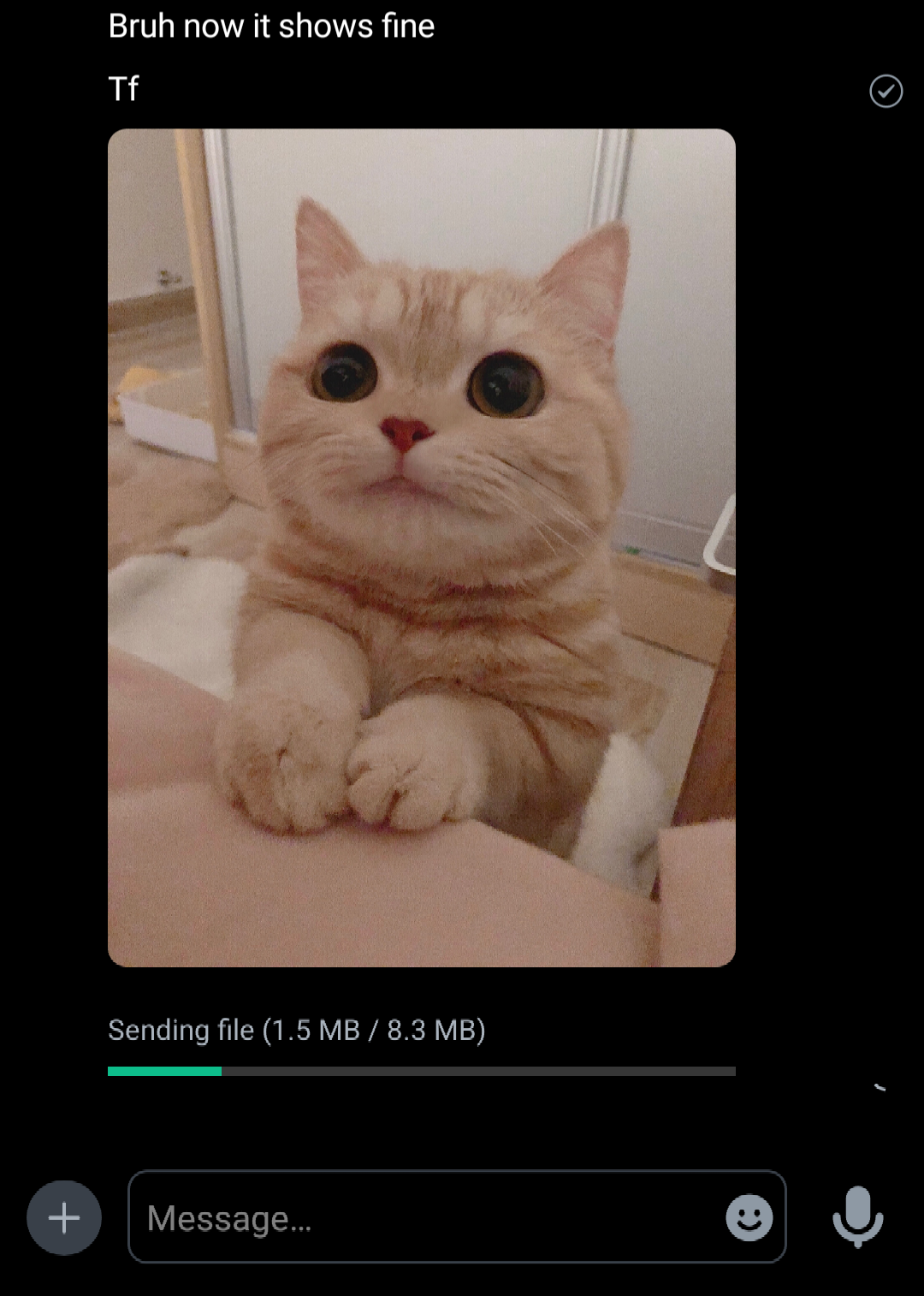 Screenshot_20220411-192138_Fork_Launcher_1