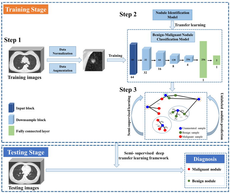 Semi-Supervised Deep Transfer Learning for Benign-Malignant Diagnosis ...