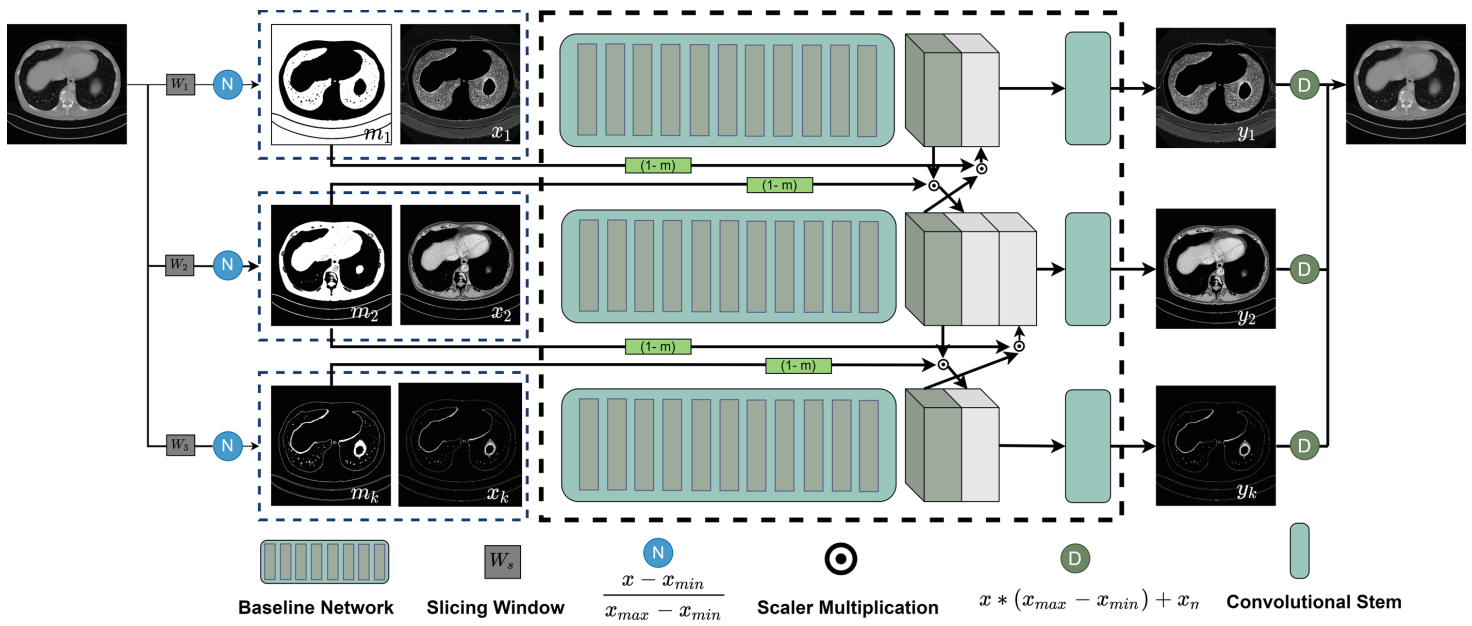 Analyzing and Improving Low Dose CT Denoising Network via HU Level ...