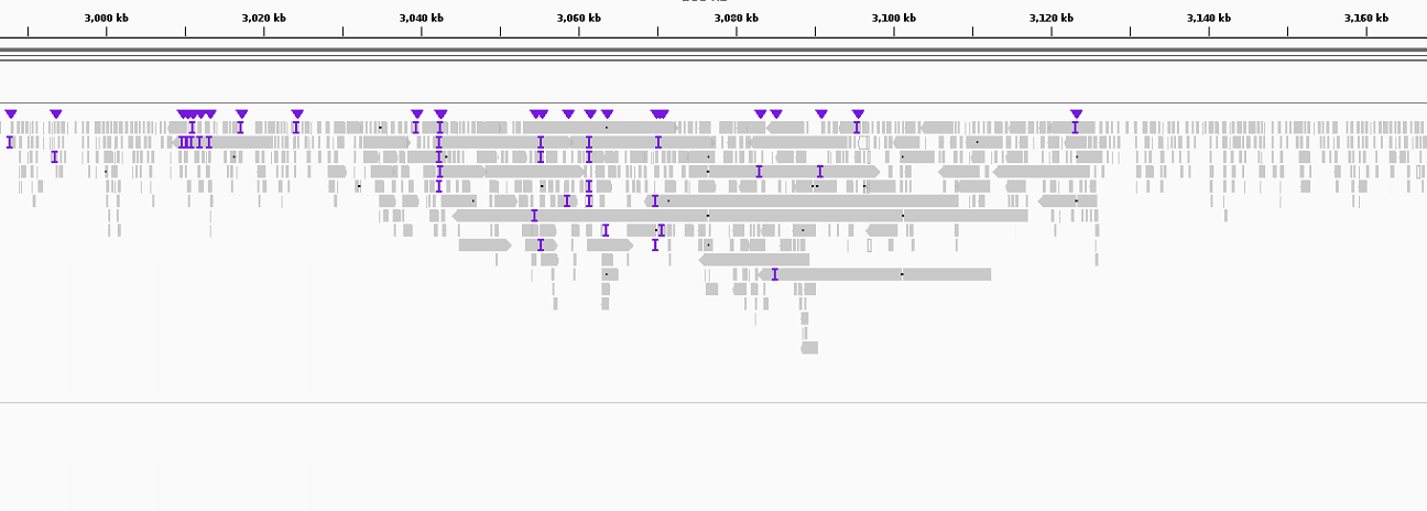 Issue · GitHub
