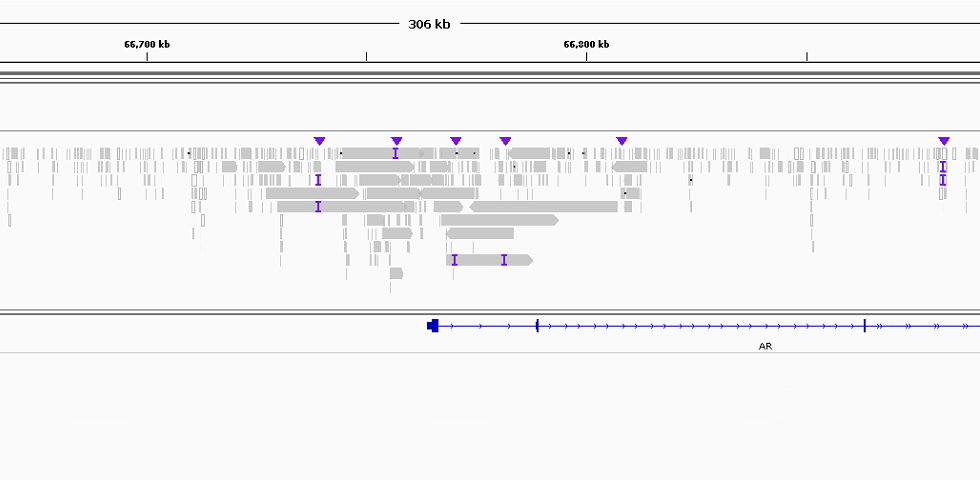 Issue · GitHub