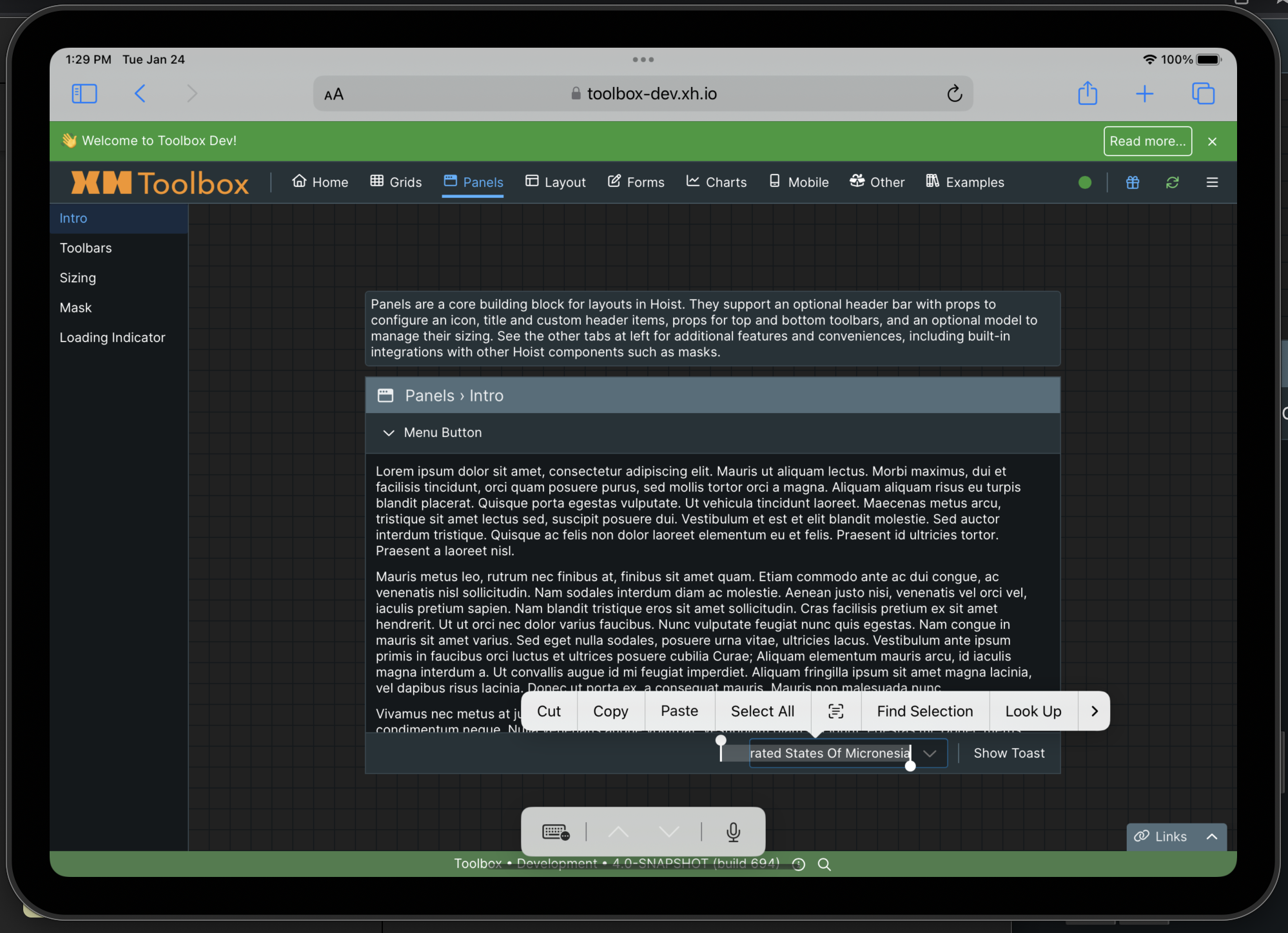 Screenshot 2023-01-24 at 1 29 00 PM