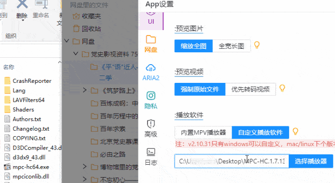 v2.10.31发布 · Issue #342 · liupan1890/aliyunpan · GitHub