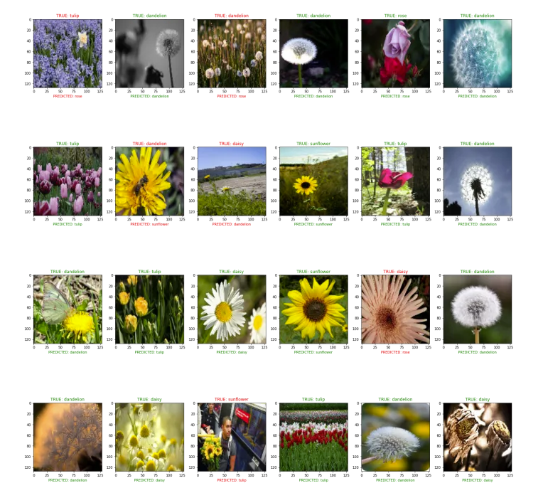 GitHub - Anshumaan031/Flower-Recognition-model-using-CNN