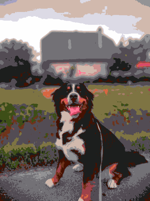 GitHub - BognarSzGergo/ImageSegmentationByKmeans: Image Segmentation ...