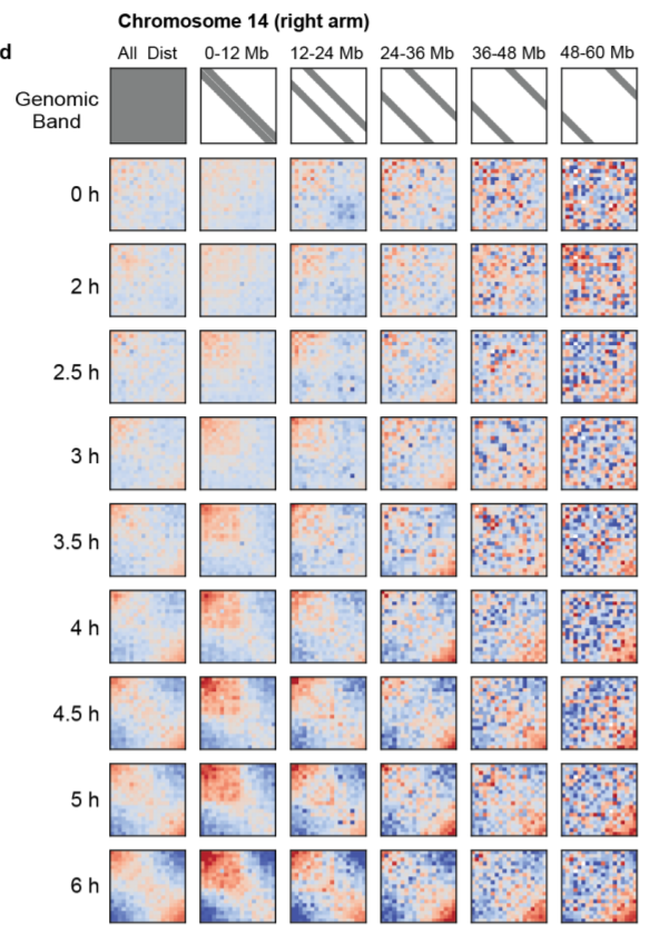 saddle plots for genomic bands - best way to specify options ? · Issue ...