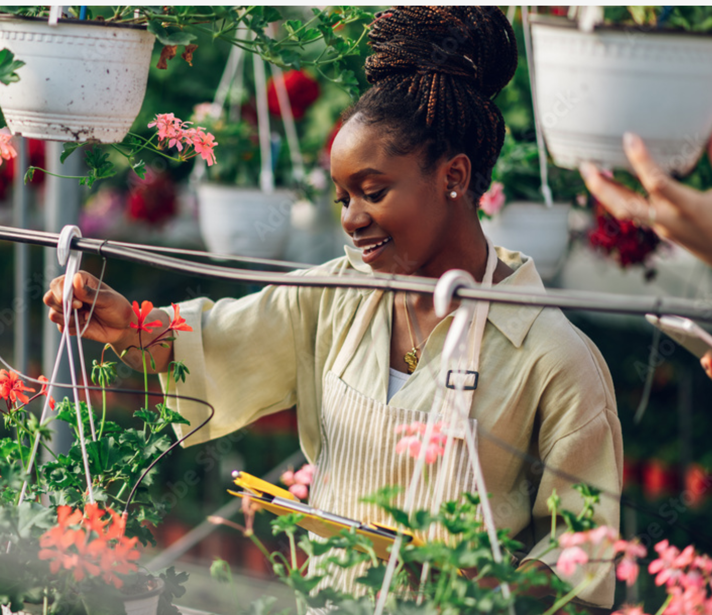 Screen Shot 2022-09-29 at 3 33 26 PM