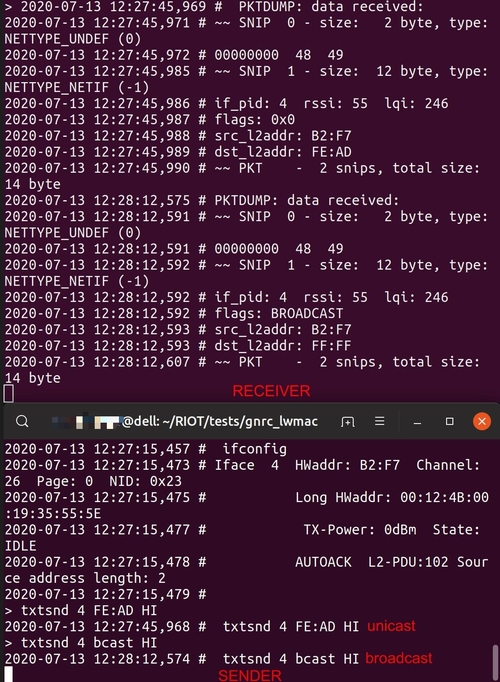 Webp net-resizeimage (1)