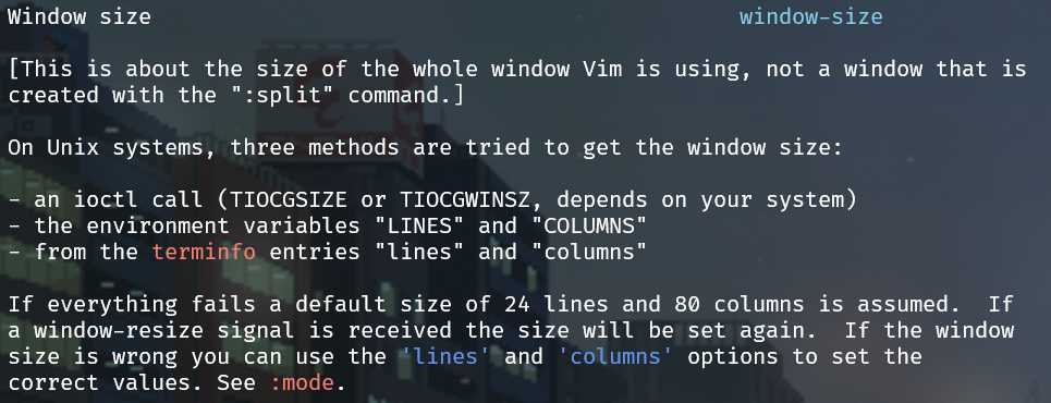 neovim_window-size_doc