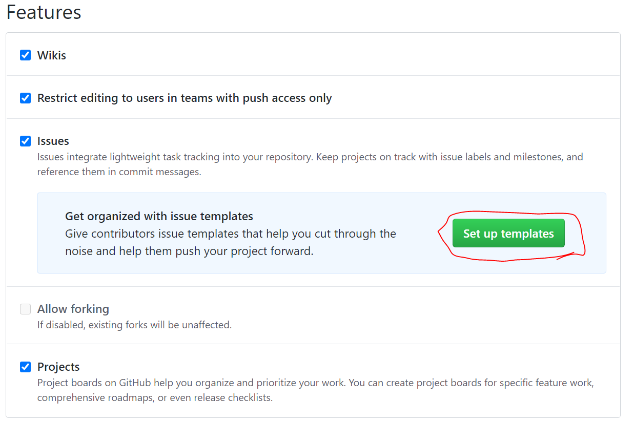 github issue Setup Templates